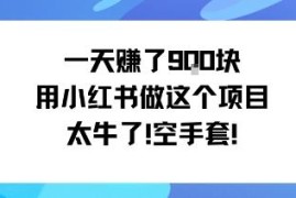 小红书蓝海小众实操项目分享 低门槛小白可做单日营收近千元