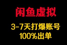 闲鱼虚拟商品运营实操教程 新手3-7天起号稳定出单方法