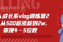 个人成长系vlog训练营实操课 从起号涨粉到商业变现全流程教学