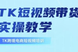 东南亚TikTok短视频带货实操教学 零基础跨境运营全流程指南