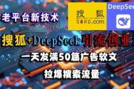搜狐搭配DeepSeek批量发软文 布局关键词引流创业粉实操方法