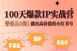 小红书100天爆款IP实战营 零基础从0到1打造高价值账号