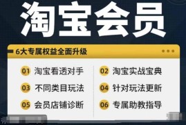 淘宝运营初级到高阶全系实战教程 竞品分析实用学习指南