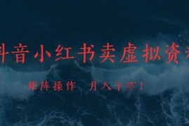 抖音小红书虚拟资料售卖项目解析 矩阵操作可实现稳定月入过万