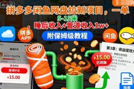 网盘拉新项目实操教程 拼多多闲鱼渠道单佣5-15元可获万元被动收益