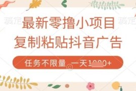 零撸小项目实操教程：复制抖音广告提交任务平台即可赚收益