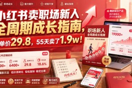 小红书售卖职场新人成长指南虚拟资料 55天变现1.9万玩法拆解