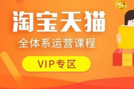 2025淘宝天猫全体系运营课 含动销推广流量提升玩法附资料