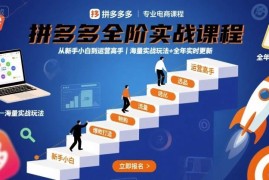 2025年9月更新拼多多全阶运营课 新手到高手实战玩法教程