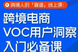 跨境电商VOC用户洞察入门实战课 跨境卖家运营提升线上课程