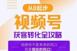 视频号获客转化运营全攻略 手把手教你打造高变现爆款账号