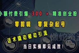 小额付费引流300+精准创业粉 零剪辑零复杂起号当日实操见效