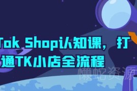 TikTok Shop小店运营全流程教学 从入驻到起店实操认知课