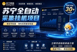 苏宁全自动采集挂机项目解析 单窗口收益及矩阵放大玩法分享