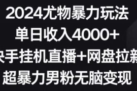2024快手无人直播搭配网盘拉新 男粉变现实操玩法全解析