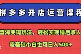 拼多多蓝海开店运营教程 零基础无货源变现全流程玩法