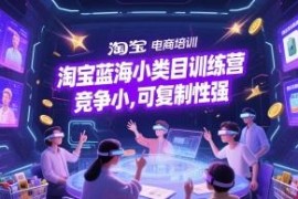 淘宝蓝海小类目运营全链路训练营 低竞争可复制实操教程