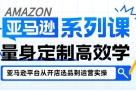 亚马逊新手开店系统教程 覆盖各阶段运营要点从入门到精通