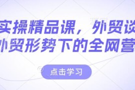 2025新外贸形势实操精品课 含谈判获客全网营销全体系内容