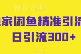 闲鱼精准引流全流程教程 教你实现日引流300+实操技巧