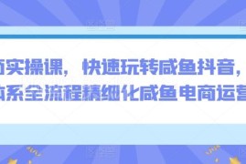 闲鱼抖音小红书全体系电商运营 从开店到爆单实操教程