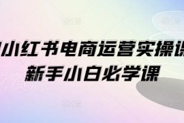 小红书电商运营1V1实操课 新手小白从0到1开店全指南