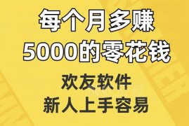 欢友交友软件赚钱玩法详解 新手易上手可月赚5000零花钱