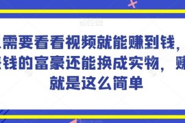 新兴电商平台看视频赚收益项目 支持兑实物可长期稳定操作