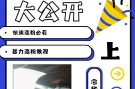 2024AI美女内容玩法涨粉教程 零基础多平台快速涨粉指南