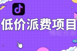 抖音低价派单零门槛项目实操玩法 小白可上手的高收益副业