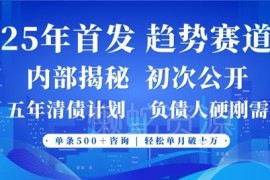 2025年政策导向负债服务创业赛道 低门槛易上手单月收益轻松破万