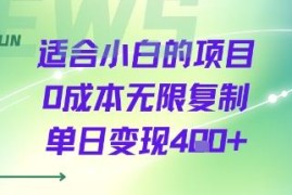 适合零基础小白操作的零成本可复制项目 单日可变现四百元以上