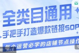 拼多多单品爆款从0到1打造实操 全流程运营步骤手把手教学