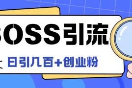 2024Boss直聘引流创业粉实操方法 日引100+精准粉玩法详解