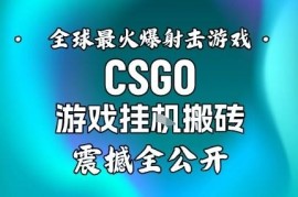 CSGO全自动饰品捡漏搬砖项目教程 低门槛操作单日收益可达数百
