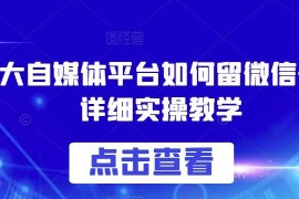 2024各大自媒体平台如何安全留微信号 详细实操教学