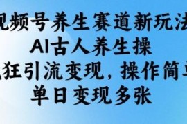 视频号养生赛道AI古人养生操玩法 低门槛引流变现实操指南