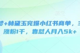 即梦+林黛玉人设做小红书商单 3天涨粉千余月入5k实操教程