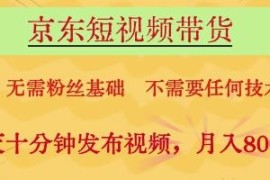京东短视频带货实操攻略 零粉丝零技术低门槛副业增收方法