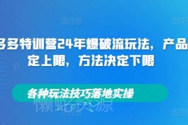 2024年拼多多特训营爆破流玩法 全品类起店运营实操技巧汇总