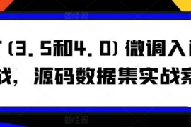 GPT3.5/4.0微调入门到实战教程 附源码数据集实战案例