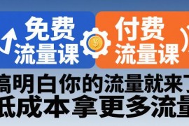 拼多多免费+付费流量实操课程 助力商家低成本获取更多平台流量