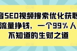抖音SEO视频搜索优化教程 免费流量获取及变现实操方法