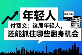 2025-2026年普通年轻人可把握的翻身机会干货合集