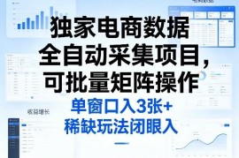 电商数据全自动采集项目详解 可批量矩阵操作的低门槛副业玩法