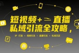 短视频+直播私域引流全攻略 从IP打造到私域沉淀实操指南