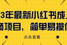 2023小红书成人电商项目实操教程 零基础操作全流程详解