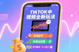 TikTok中视频全新玩法实操教程 多领域快速起号获高播放收益