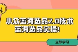 拼多多第33期运营培训 小众蓝海选品2.0实操方法全解析