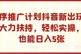 2024抖音小程序推广计划新玩法 无门槛新手可上手赚钱项目解析